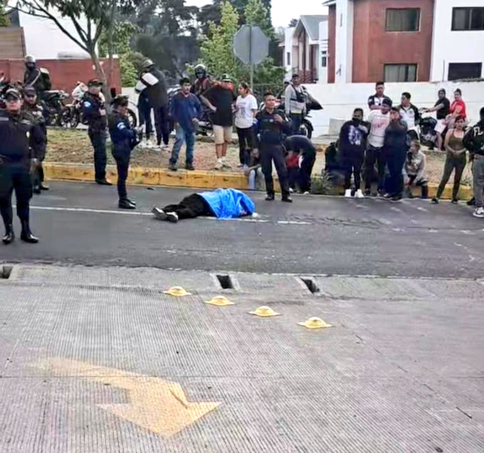 Vichoguate tweet media