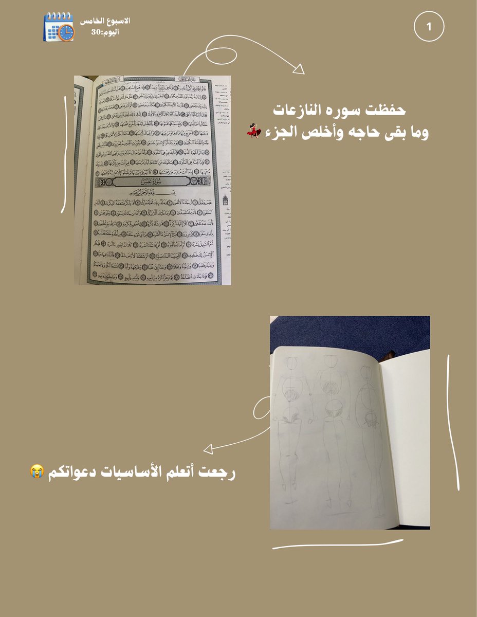 Roaa.zone tweet media