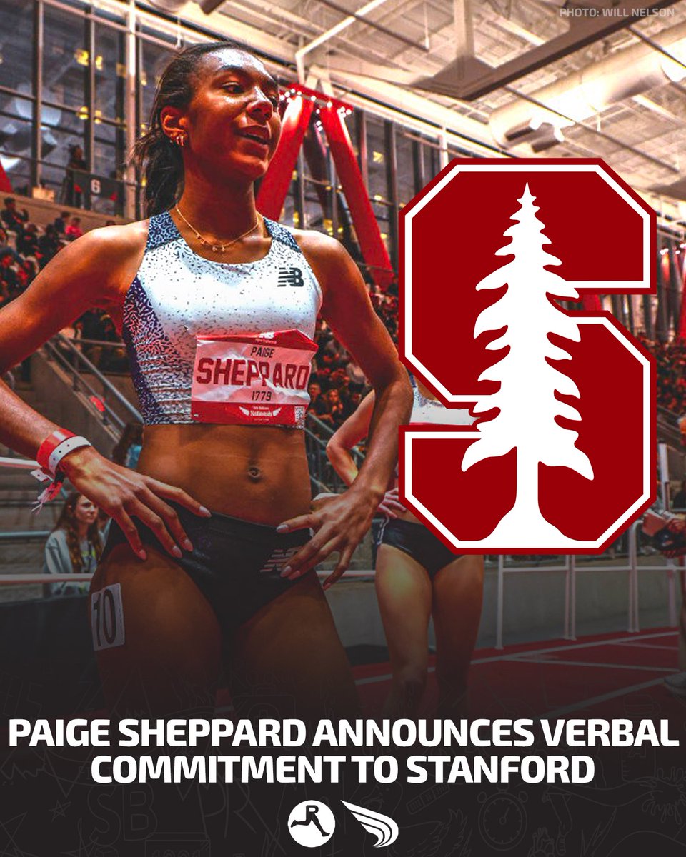 DyeStat tweet media