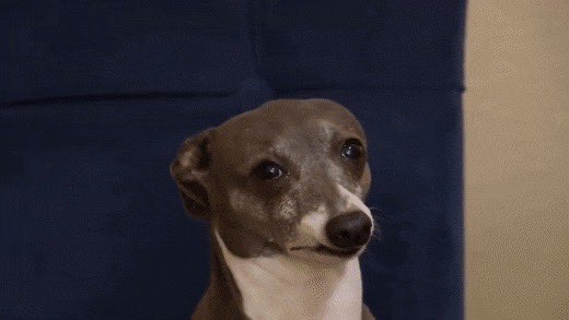 Lemmie 🐀 ✨ 🔜 A1815 FanExpo Philly tweet media