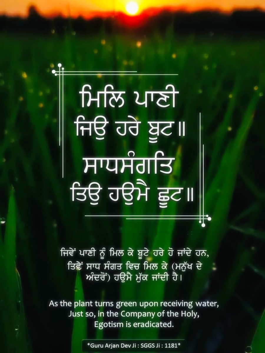 Raja_Katoch007's tweet image. 🌹🌹🙏🙏Waheguru ji🙏🙏🌹🌹 #punjab #viral #trending #socialmedia #instagram