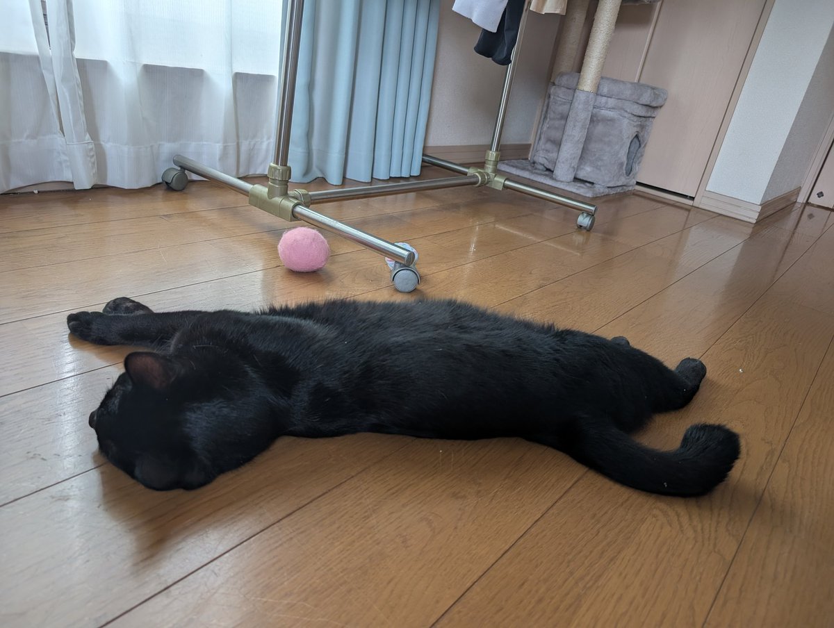 へたとま tweet media