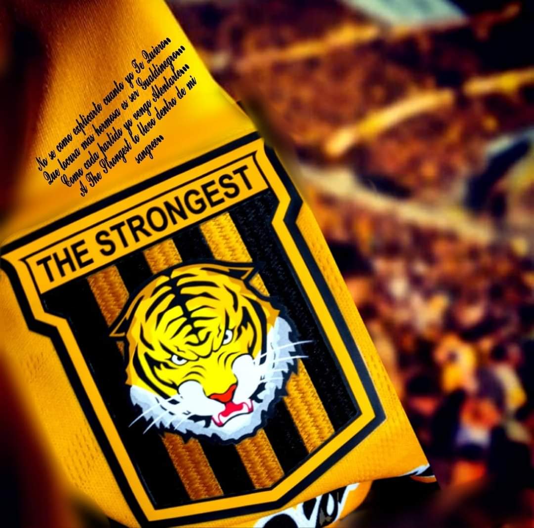 ienm10's tweet photo. Gooooooool del Tigre Carajo 🐯🐅... Martin Chiatti ⚽... División Profesional 🇧🇴... La Paz 🇧🇴... THE STRONGEST 3-1 A.B.B.!!!   Vamos Tigre Querido 🐅🐯 el más grande de Bolivia 🇧🇴⚽ https://t.co/RCacyTfrMZ