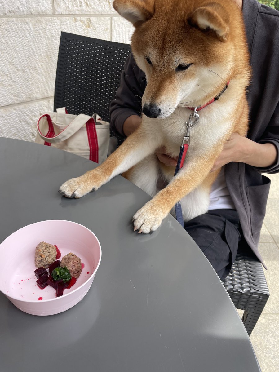 etsusho tweet media