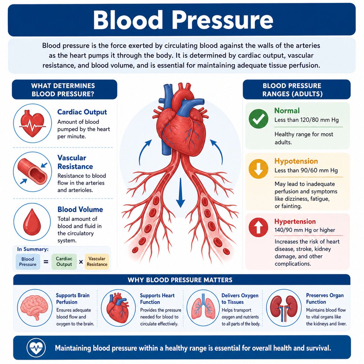 Blood pressure is the force exerted by circulating blood against the walls of the arteries as the heart pumps it through the body. respiratorytherapyzone.com/blood-pressure…