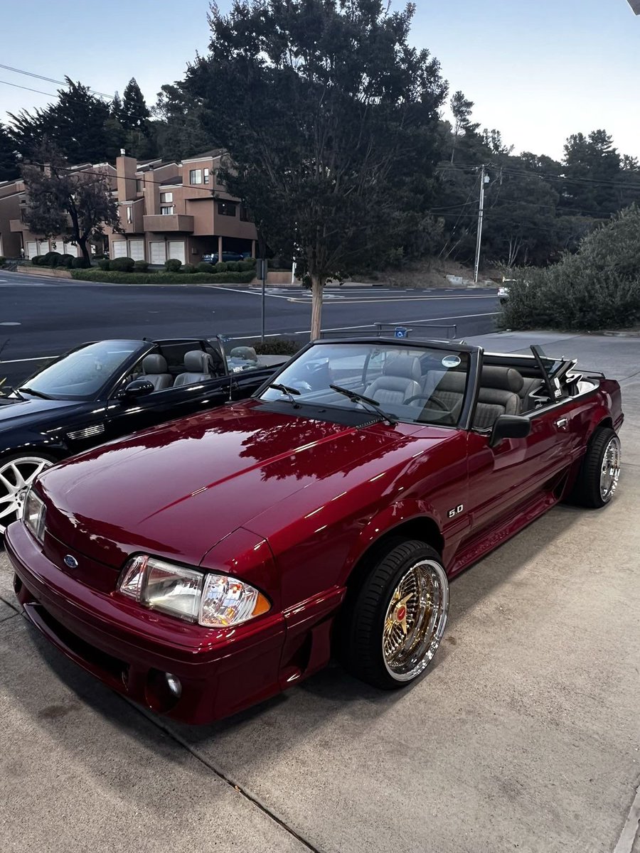 the culture | magazine tweet media