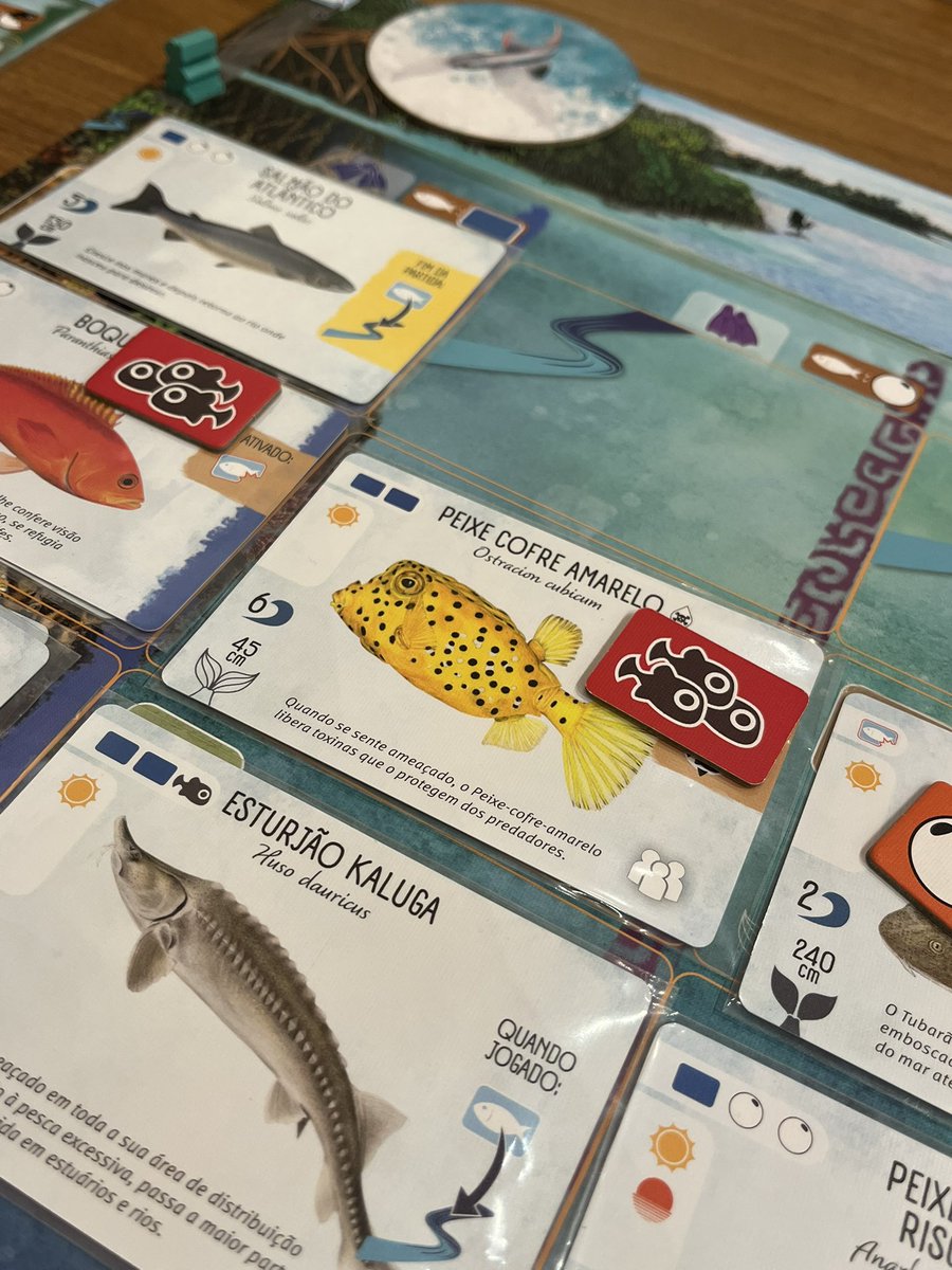 gatofofotriste's tweet photo. peguei meu peixe favorito no jogo de peixes :-) https://t.co/Mi4JgkjFQI