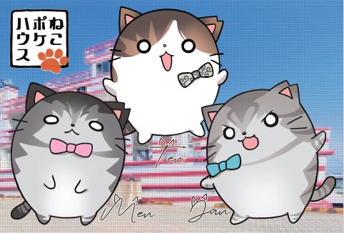 男木島ねこポケの会😻豊爺🌈 tweet media