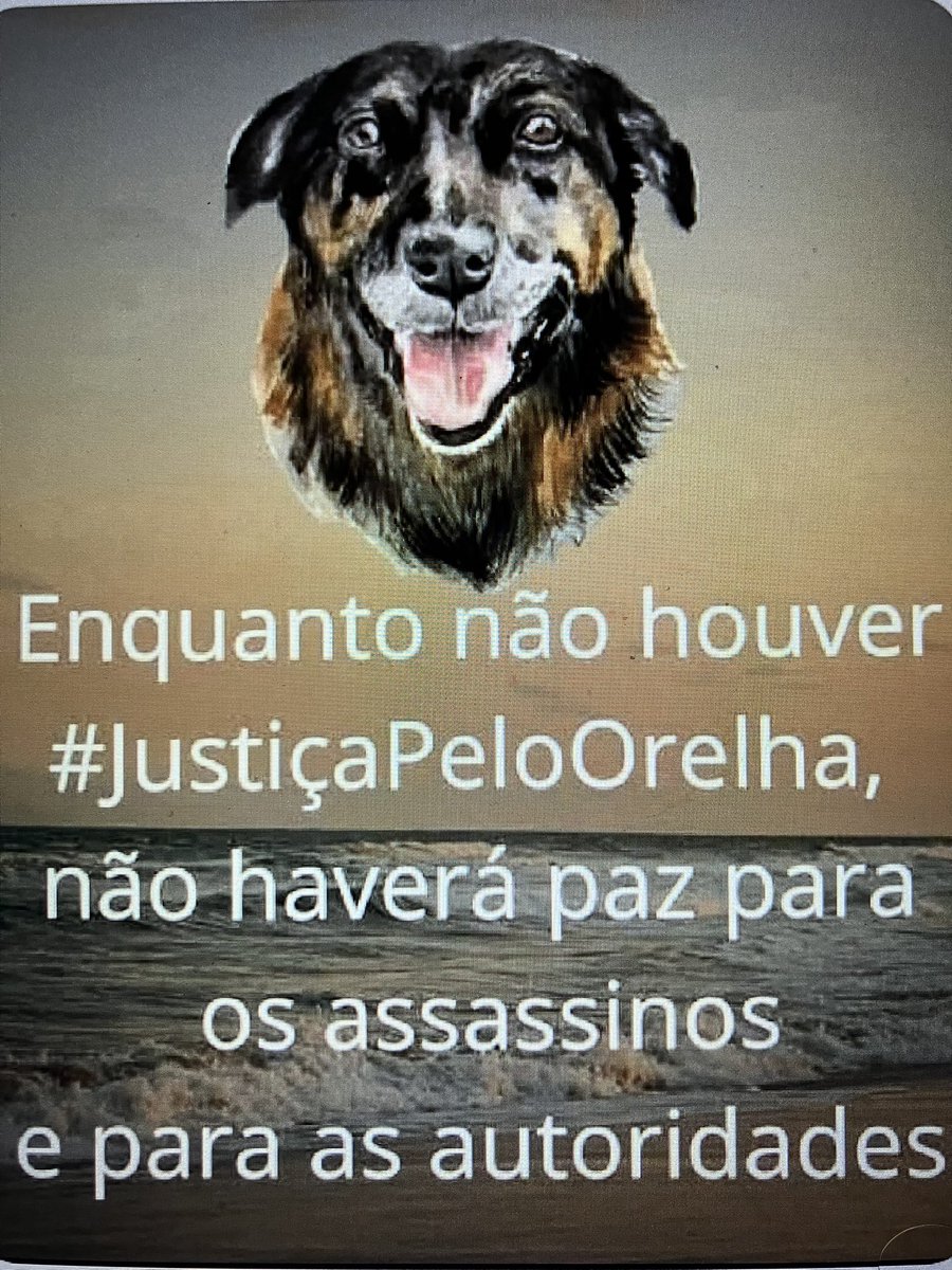 Fer tweet media