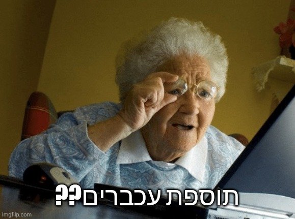 Gilaad Elstein tweet media