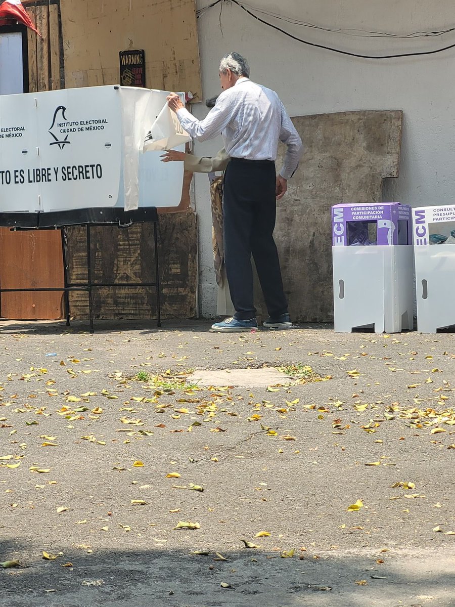 CORTECHAIRA🇲🇽🥇 tweet media