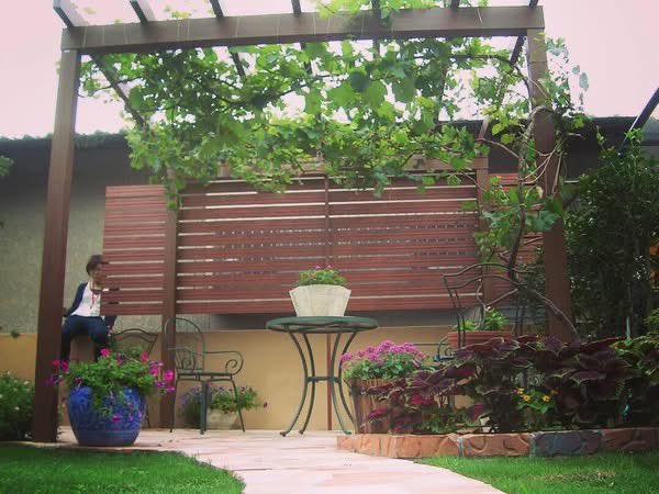 ガーデニング🏵️ヒデ 🏡花と樹木が大好き🪴庭を楽しく🏘️🌳 tweet media