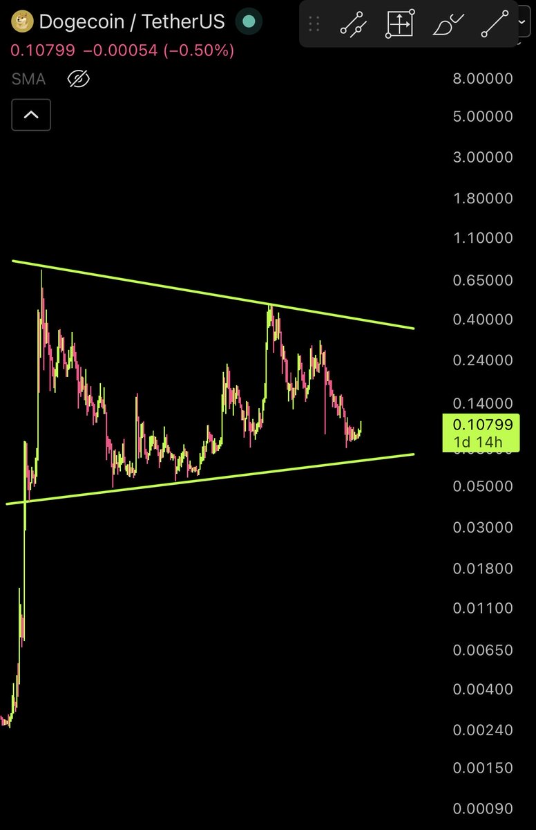 DogeTrader⚔️＄TSLA tweet media