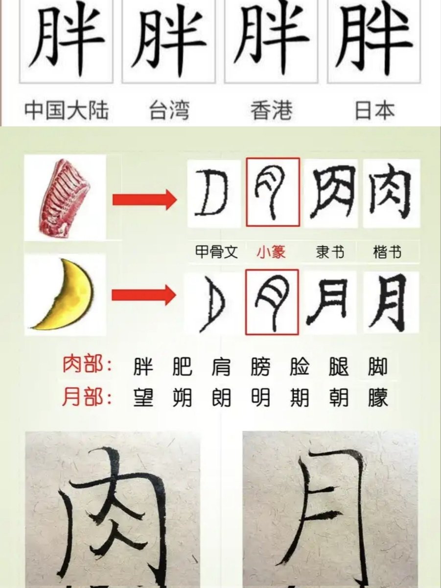 さとし｜和知 綰⛩️ tweet media