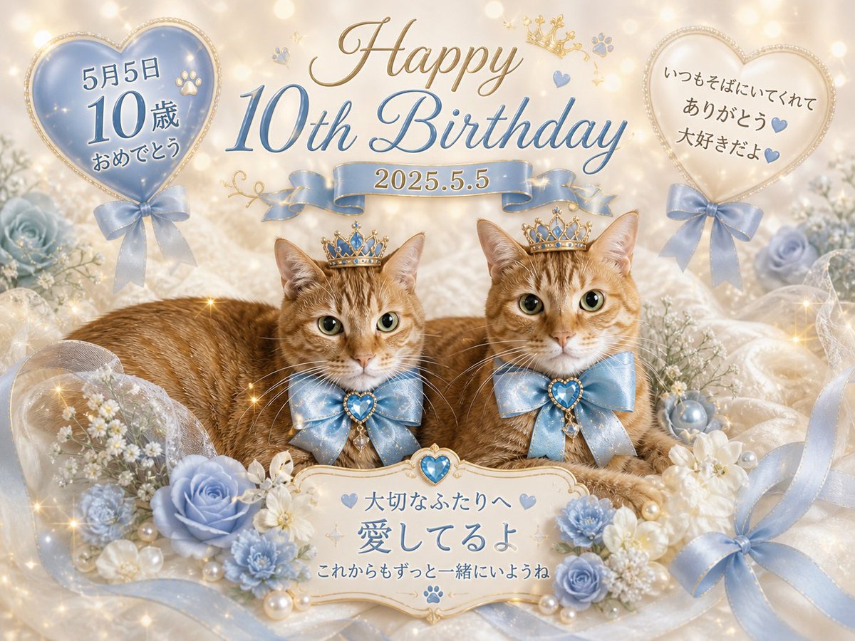 茶とらーず😽猫の役立つ情報発信 tweet media