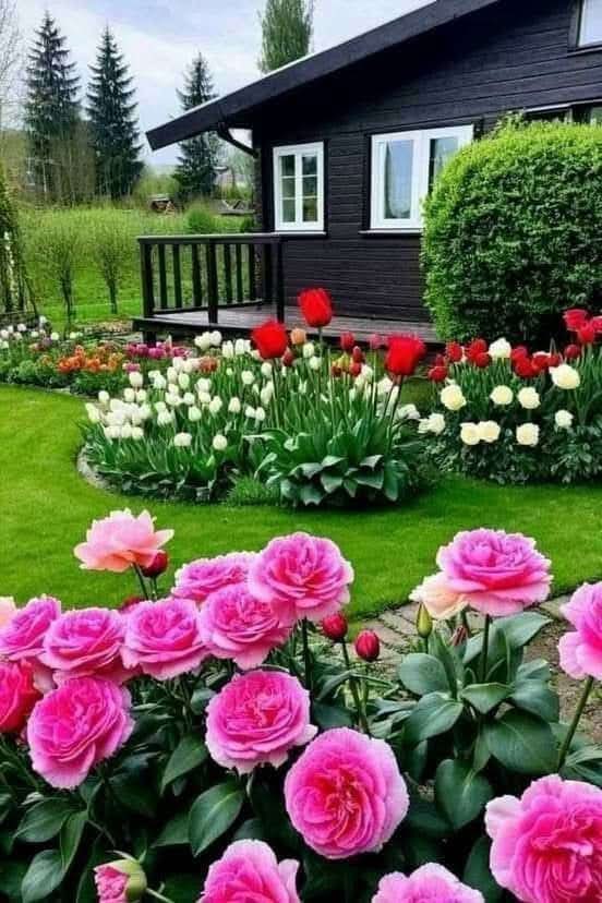 Lara1_11's tweet photo. خذ من أبيك نصيحة 👈🏻 وافهم بها دنياك، 
وخذ من أمك دعوة 👈🏻 واقهر بها بلواك، 
وخذ من وقتك سجدة 👈🏻 واشكر بها مولاك.. 

لا تستهن بأية خطوة ولو كانت صغيرة.. 
فكل شجرة كانت حبة، وكل إنجاز كان فكرة🌷 https://t.co/C49BV0GesA