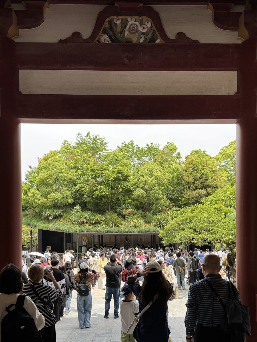 YoungdaeSong's tweet photo. Floating Forest in Dazaifu Tenmangu
(photos in 2023.07 and 2026.05)

Within more than a thousand-year history of Dazaifu Tenmangu, the architecture stands for just three years, yet makes the whole history feel richer and more alive.

#SouFujimoto
#藤本壮介 https://t.co/S2OGhmq72u