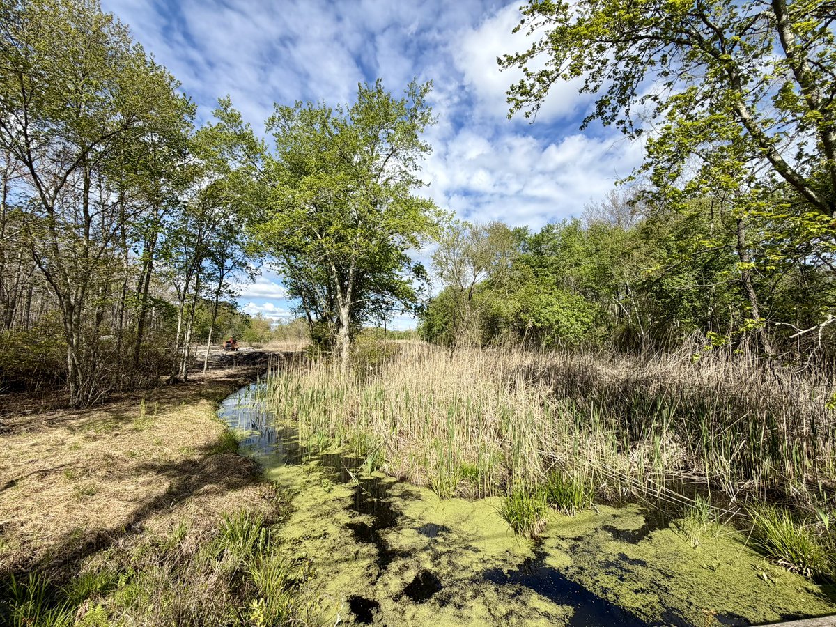 BurlingtonNJWx's tweet image. Few snaps from #PinelandsGravel today. Rather than ride, helped out by providing support and gear for cyclists that might need a hand. Had to take a pair back and that was it! Beautiful day out there. #cycling #pinebarrens