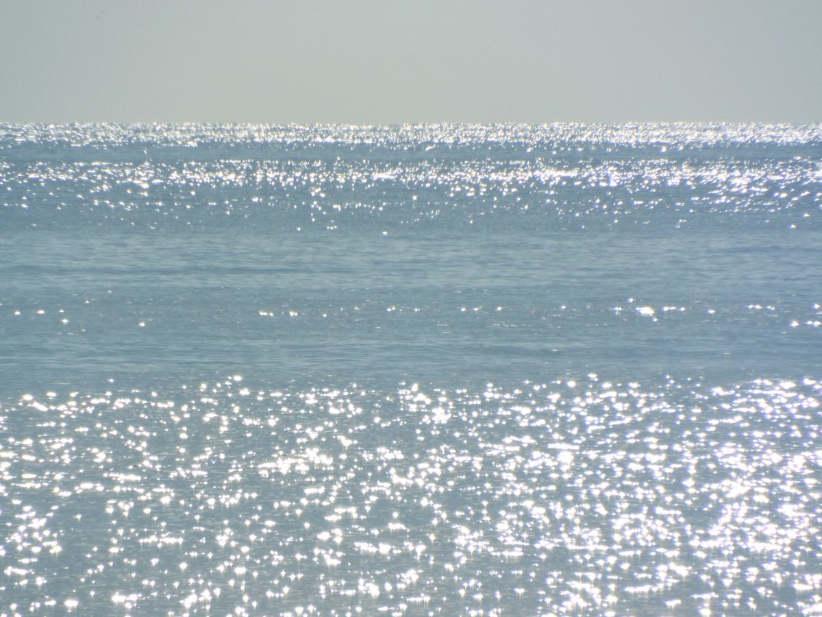 antsared's tweet image. As young as sunshine memories,
Full of life &amp;amp; what could be,
Warm upon you old and young,
How it feels to feel the fun

Mix it up with ocean days,
Longing looks and sunny haze,
In the garden, birds surround,
Where your heart is truly found

#Moonmystic #sunshine #poetry #poem 🐿