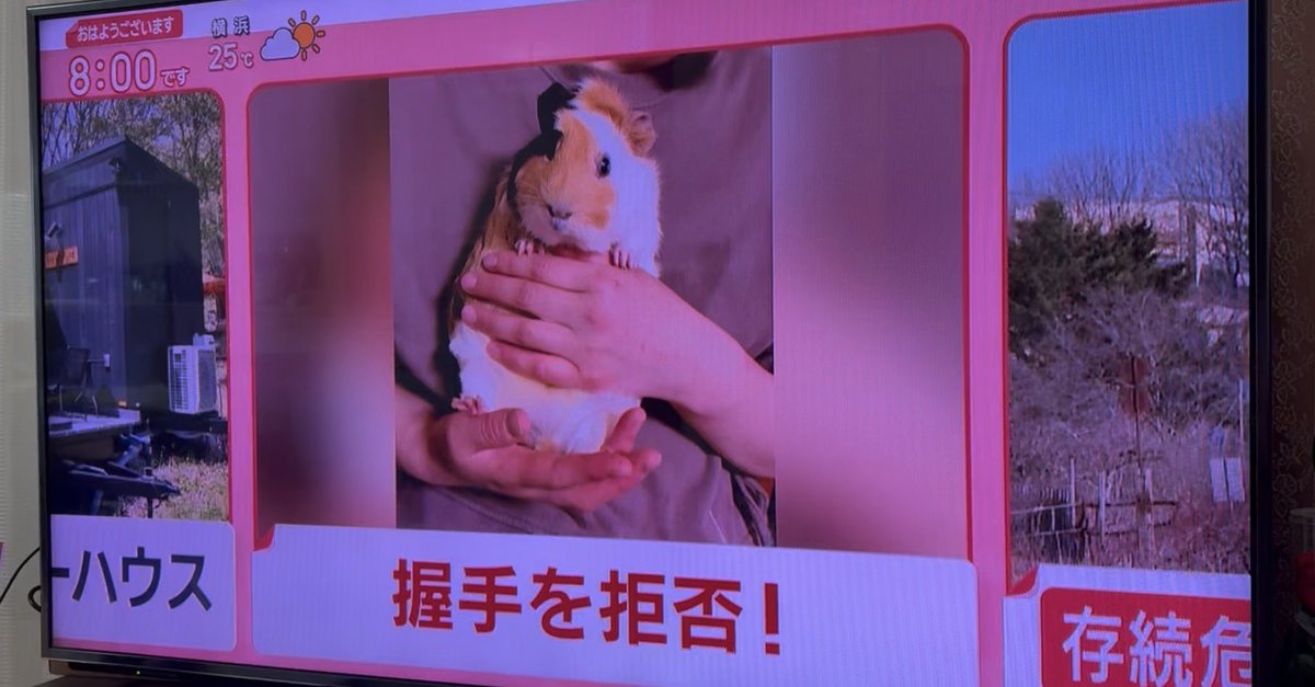 すゞトシ tweet media