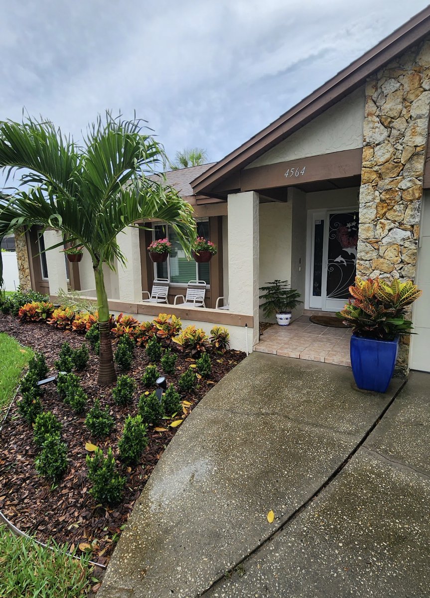 DoyleLand407's tweet image. Spring has Sprung &amp;amp; time to Rebuild Freeze Damaged Landscaping ! New Year New Landscape for 2026 !! 🌺🌼 Call Doyle Land Systems today and we will design &amp;amp; build and rebuild your dream landscape ! doylelandsystems.com🌴#landscapedesign #poolscape #rockscape #palms