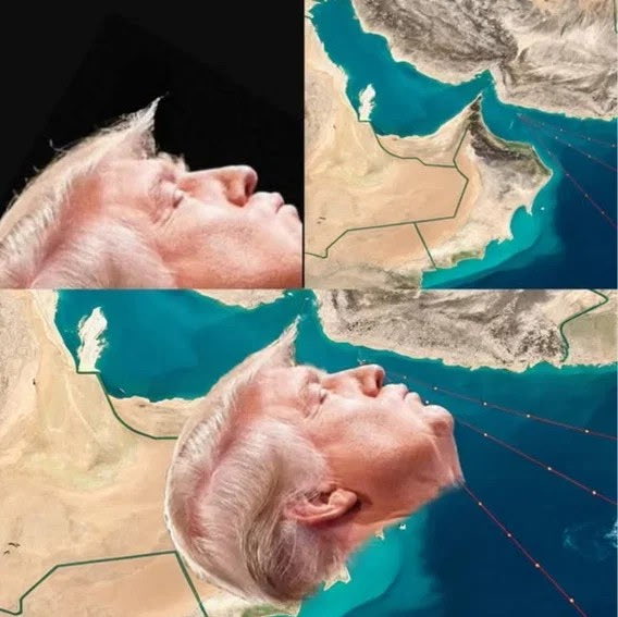 Not Trump the Don tweet media