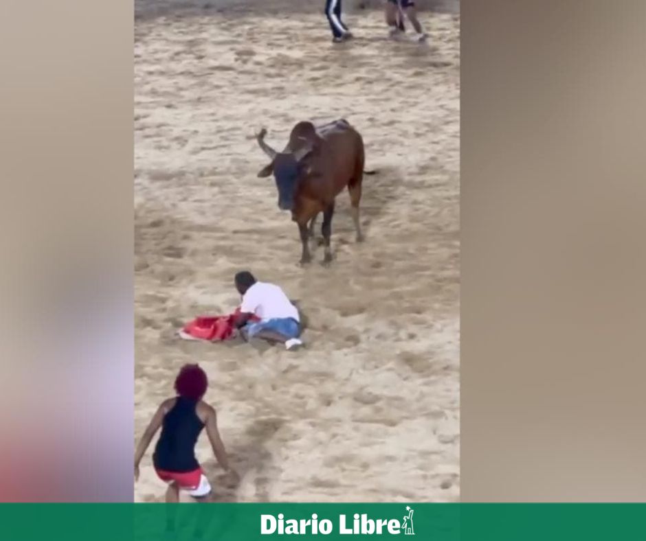 Diario Libre tweet media