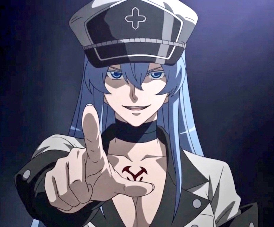 Esdeath | ｴｽﾃﾞｽ tweet media