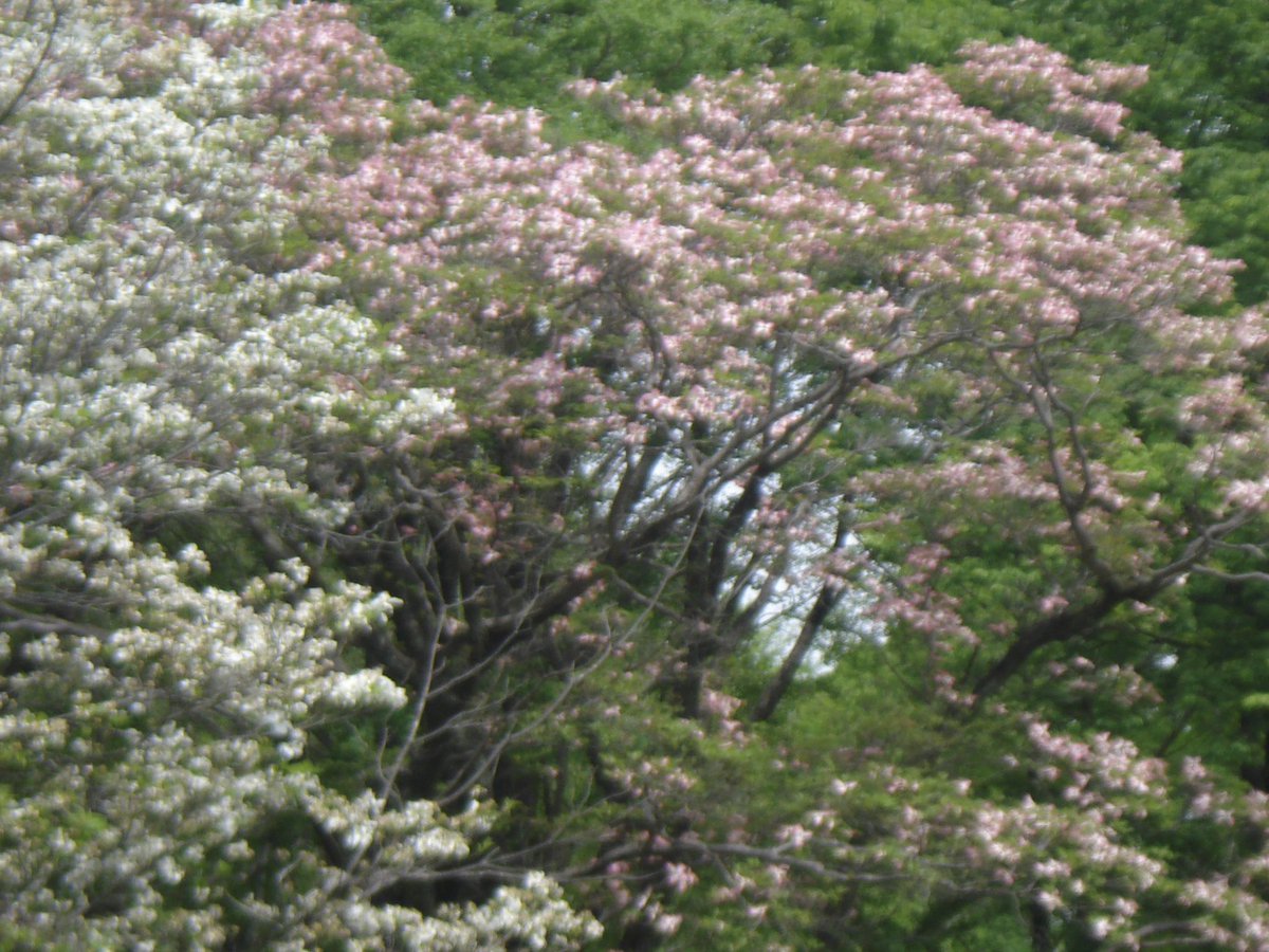 겨울이 tweet media