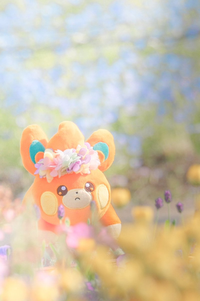 pikaoru's tweet photo. ポケモン撮ってます
 #5月になったのでフォロワーさんに自己紹介しよう https://t.co/krz1uvjkmL