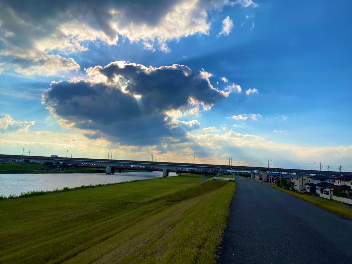 ガーデニング🏵️ヒデ 🏡花と樹木が大好き🪴庭を楽しく🏘️🌳 tweet media