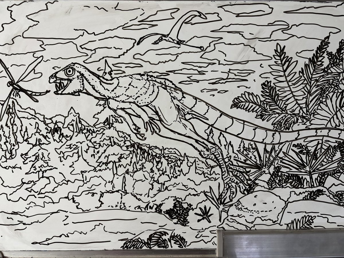 junius_anax's tweet image. Whiteboard sketch #heterodontosaurus #dinosaurus #paleoart