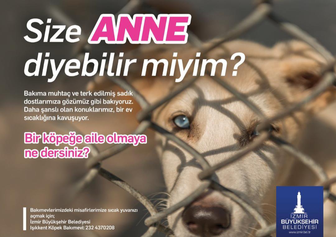 Gamzecimm tweet media