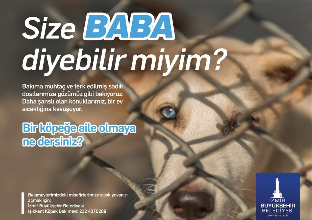 Gamzecimm tweet media