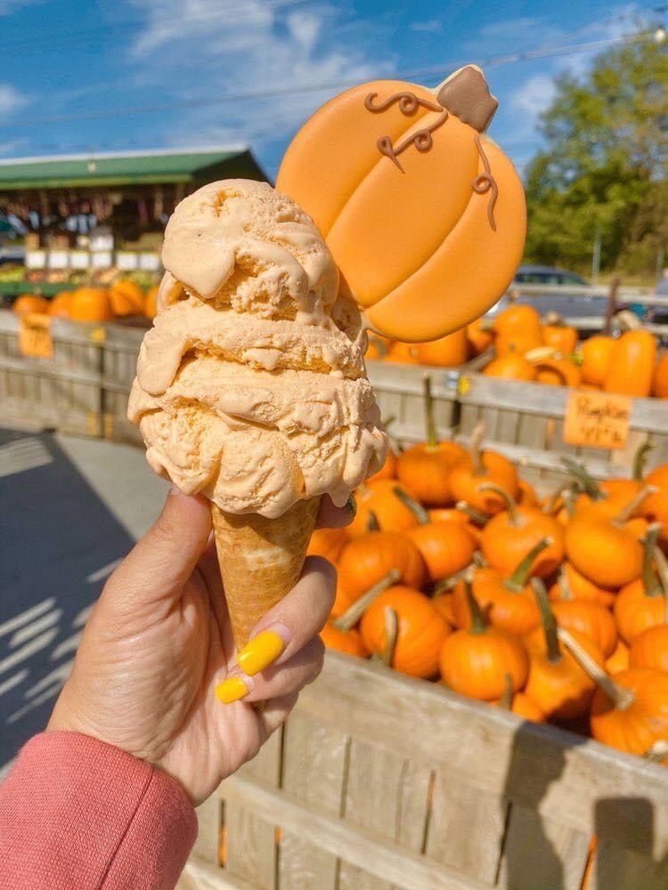 moriorhelena's tweet image. pumpkin food poll! #edtwt #foodpoll #interactivethread