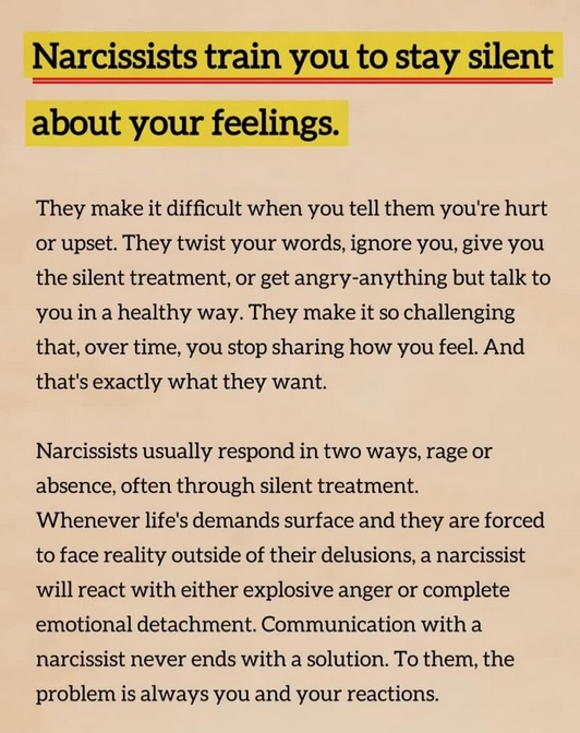 The Narcissist Box tweet media