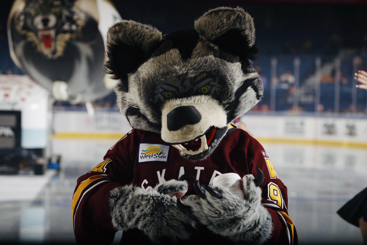 x- Chicago Wolves tweet media