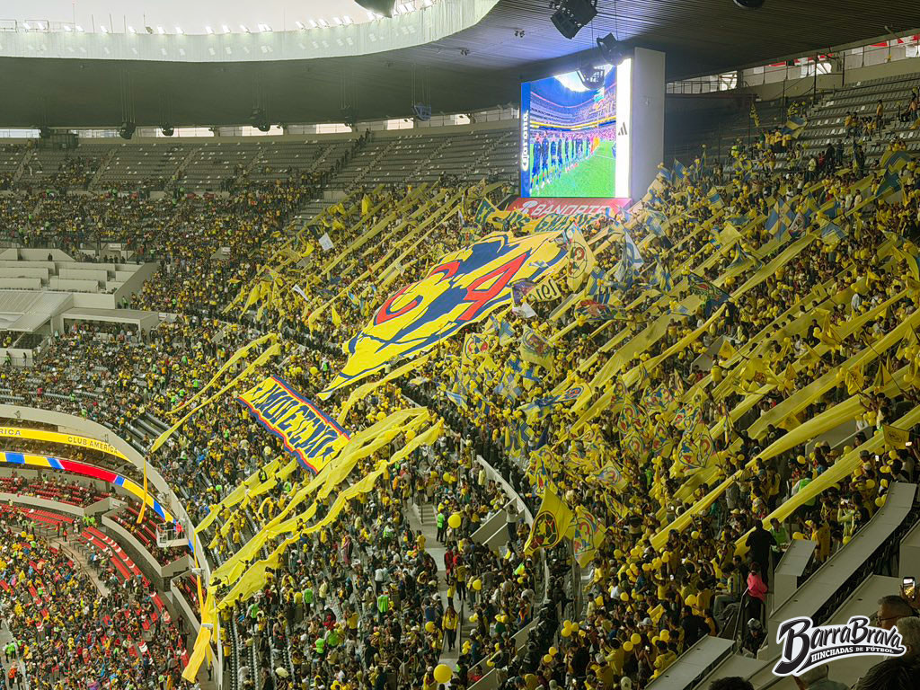 Barra Brava tweet media