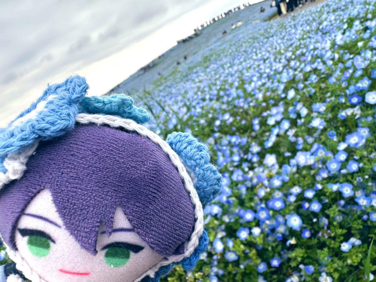 優月 tweet media