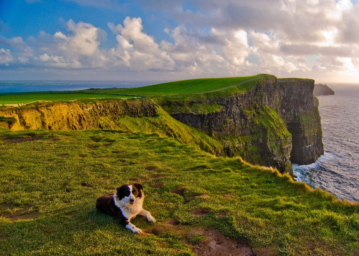 GetFitwithWitt's tweet photo. Registration is now open for my Hidden Heartland of Ireland Tour, October 16-25, 2026  https://t.co/i4epzCTuLX

Come along and explore rich history and natural beauty on this 10-day active tour in the hidden heartland of Ireland. https://t.co/gBbNBlD64N