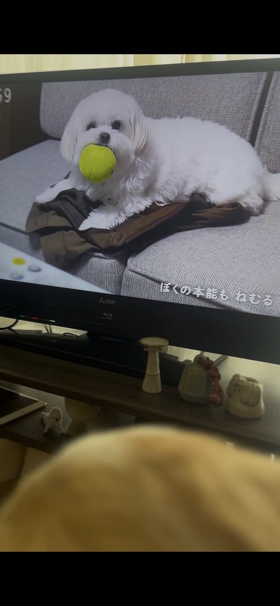 に tweet media