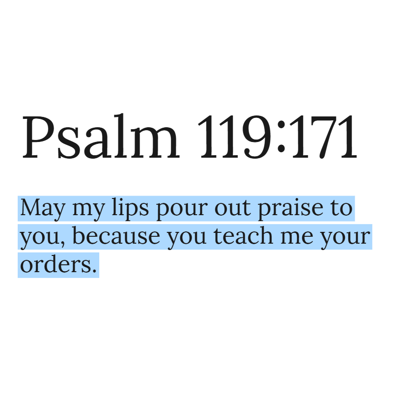 Holy Bible tweet media