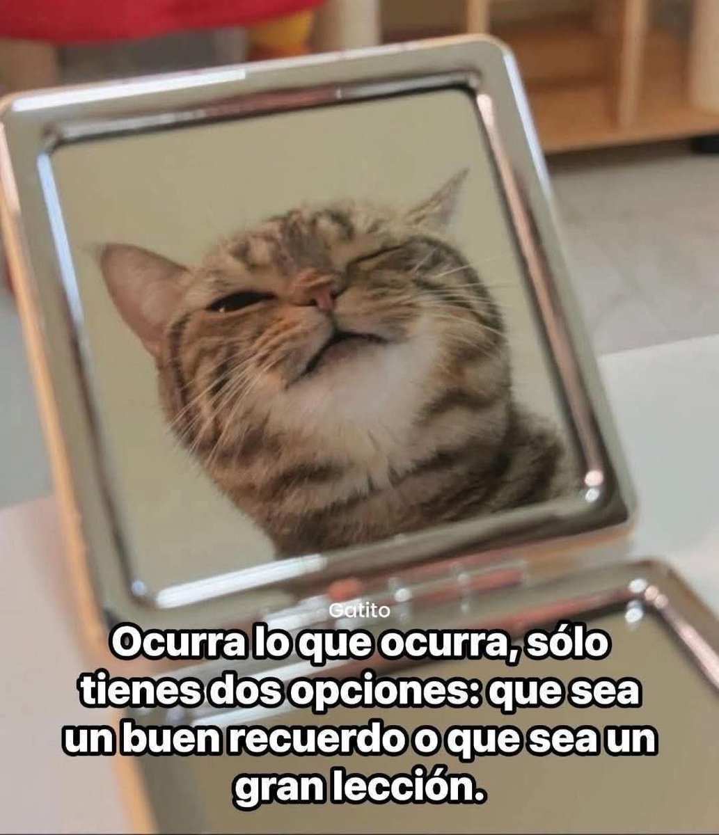 Dilo con gatitoz tweet media