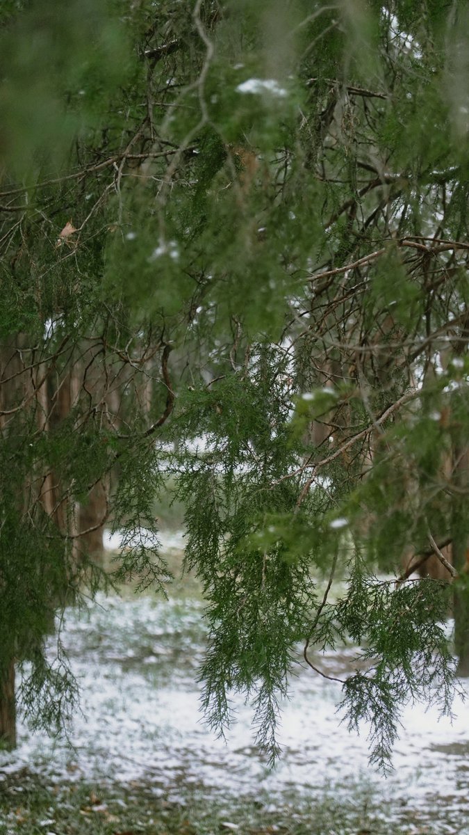 COSYCOSY258's tweet image. 關於人定湖（十一）

About “Rending Lake” 11

#beijing #life #photography #travel #art