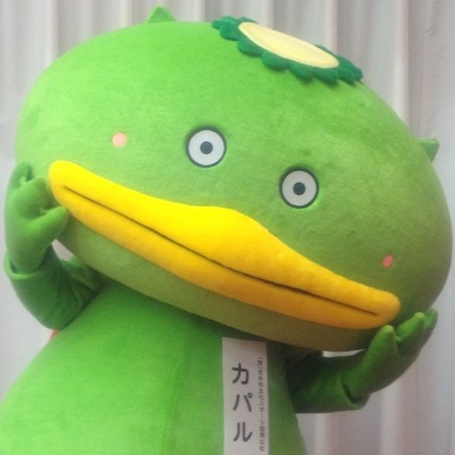 カパル【公式。なのに凍結2回】❄️ tweet media