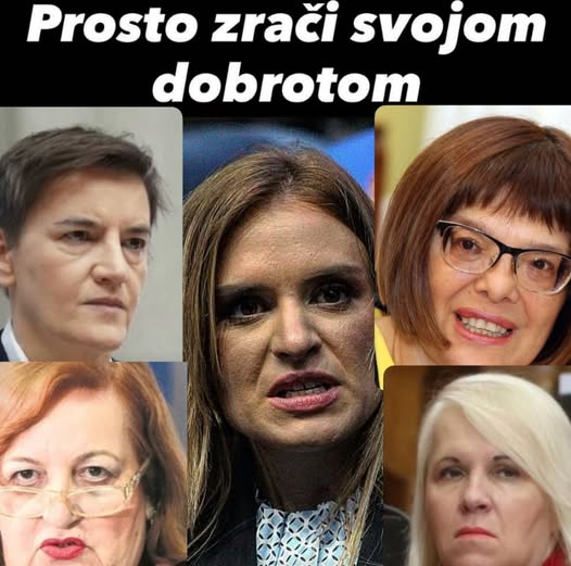 Bojan Andrejić tweet media