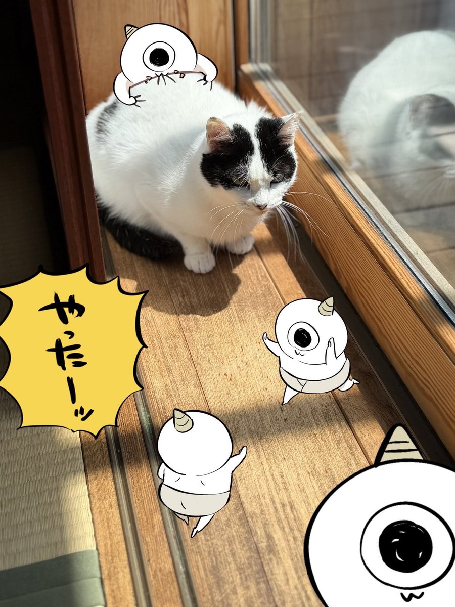 波津彬子 tweet media