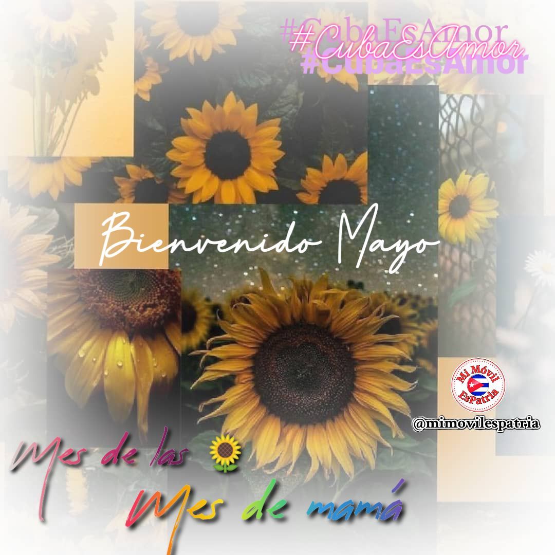 Mariposa Guerrera tweet media