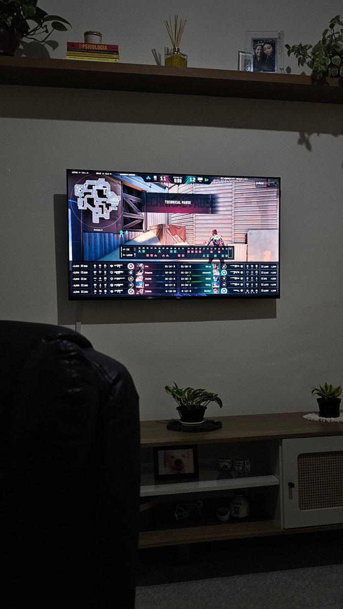 fora do twitter torcedores do mibr também torcem pra loud 🧘🏽‍♀️