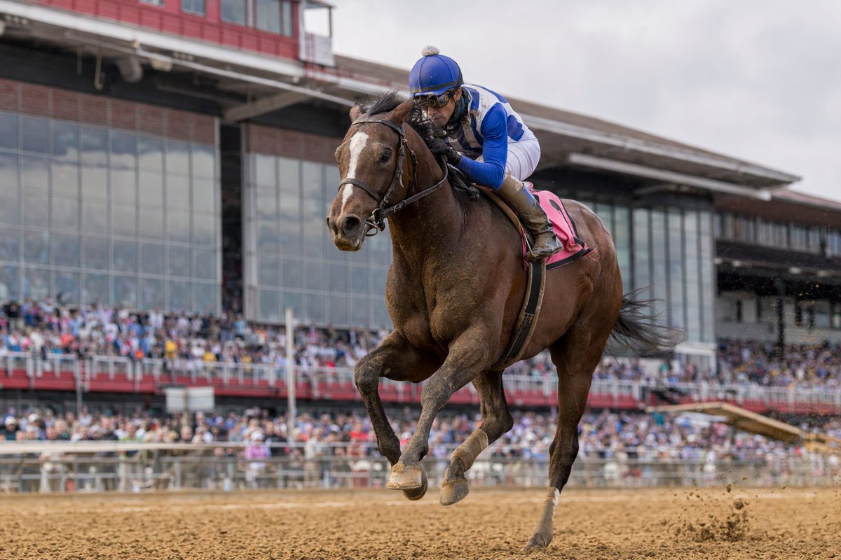 PrismHorseRace's tweet photo. Bob Baffert’s “freaky” colt just rewrote Churchill Downs history: Crude Velocity won the Pat Day Mile in 1:33.87, smashed the stakes record, and vaulted to 4-1 Preakness favorite. #HorseRacing https://t.co/0u0tW7J3Os